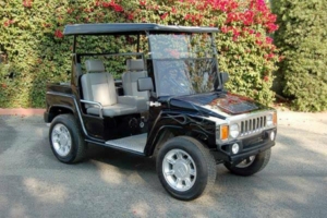 affordable golf cart rental, golf cart rent ormond beach, cart rental ormond beach