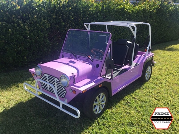 affordable golf cart rental, golf cart rent ormond beach, cart rental ormond beach