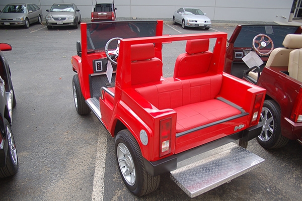 affordable golf cart rental, golf cart rent ormond beach, cart rental ormond beach